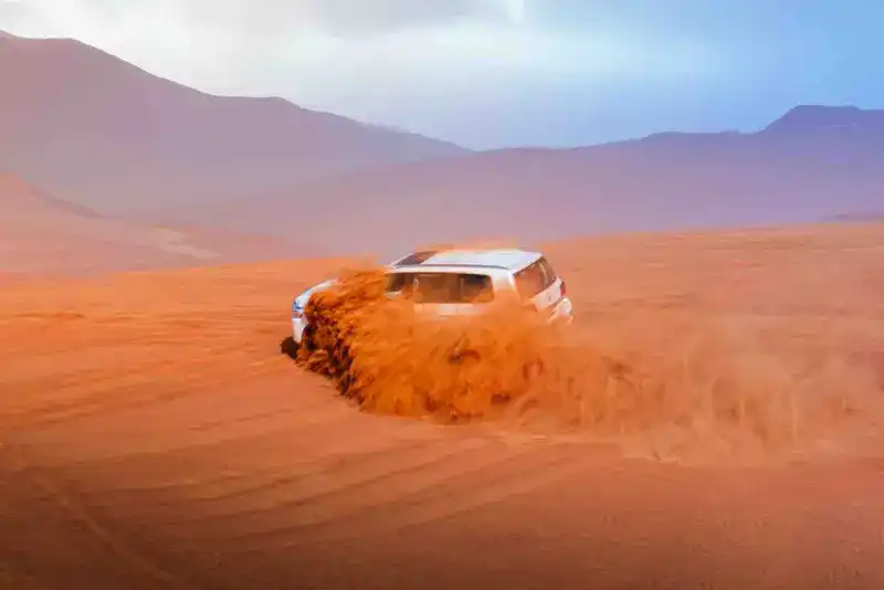 Morning Desert Safari Adventure - Best Offer